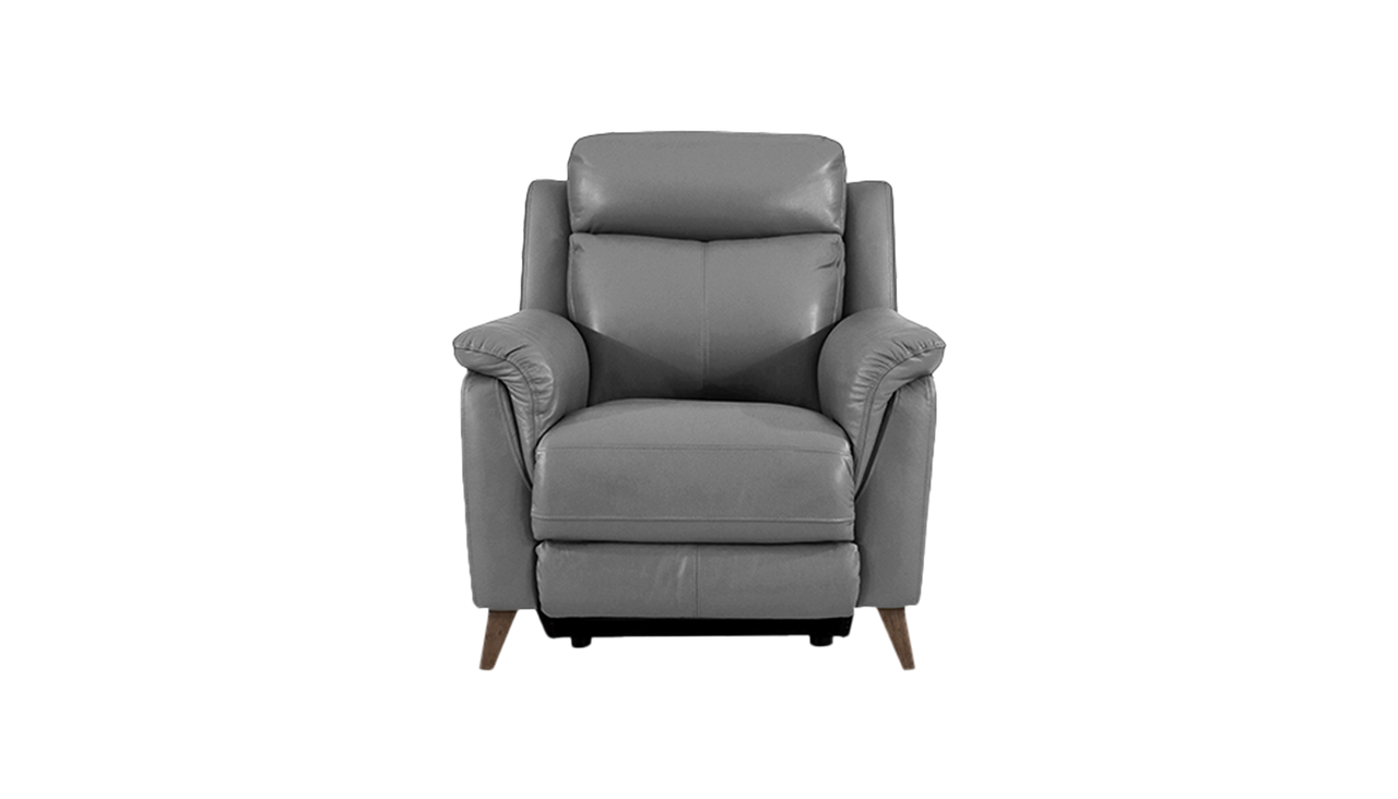 Sienna Armchair Power Recliner with Power Headrest in Leather