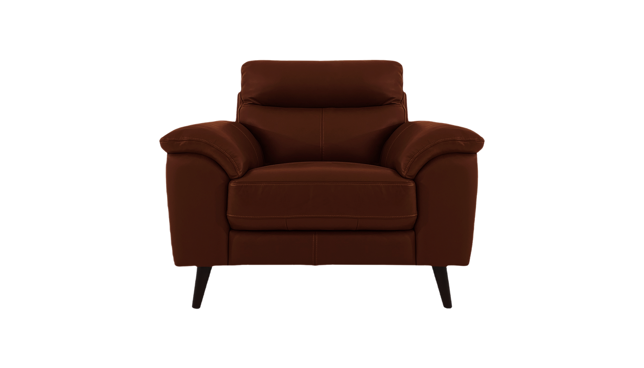 Jayley Leather Armchair With Storage