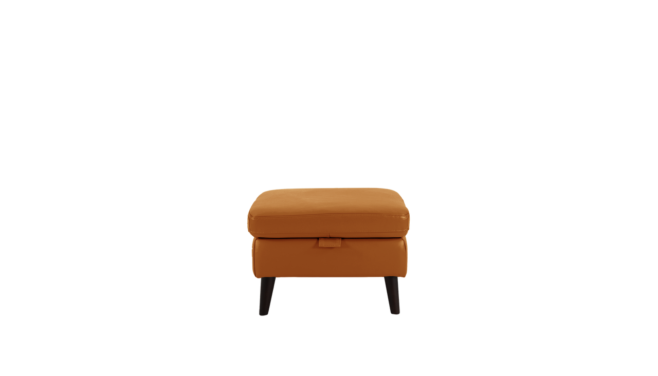 Jayley Leather Storage Footstool